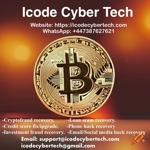 How Icode Cyber Tech Assisted Me In Recovering My  Morrel