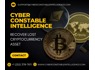 CERTIFIED BITCOIN ETH USTD RECOVERY COMPANY CONTACT CYBER CONSTABLE INTELLIGENCE