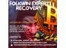 HIRE A FAST QUALIFIED CRYPTOCURRENCY RECOVERY SPECIALIST FOLKWIN EXPERT RECOVERY
