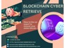 BLOCKCHAIN CYBER RETRIEVE RECOVERY EXPERT FOR CRYPTOCURRENCY INVESTMENT SCAMS