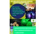 FUNDS AND DIGITAL ASSETS RECOVERY CRYPTO PANDEMIC HUNTER
