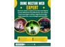 Lost, Stolen, or Scammed Crypto Asset Recovery Services For Hire-Contact Dune Nectar Web Expert
