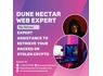 Trusted Bitcoin and Crypto Wallet Recovery Experts to Hire, Reach DUNE NECTAR WEB EXPERT