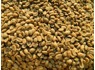 Green Coffee beans (Arabica Coffee) Grade AA, A, and AB 27719755564