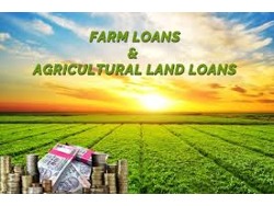 WEAVE LOAN STORE IS PROVIDING FAST AND EASY LOANS APPLY NOW