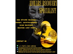 HOW TO HIRE A HACKER TO RECOVER STOLEN BITCOIN HIRE ADWARE RECOVERY SPECIALIST