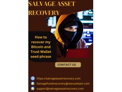 CONSULT A PROFESSIONAL BTC RECOVERY SERVICE FOR HIRE CONTACT-SALVAGE ASSET RECOVERY