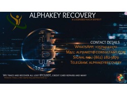 Consult a licensed crypto recovery hacker-alpha key