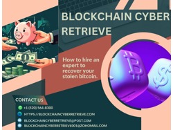 BLOCKCHAIN CYBER RETRIEVE RECOVERY EXPERT FOR CRYPTOCURRENCY INVESTMENT SCAMS