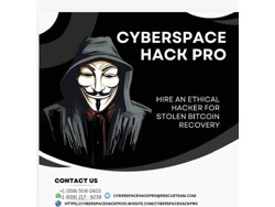 137, 000 Bitcoin Recovered by Cyberspace hack pro Thank you, Cyberspace hack pro