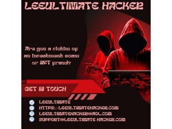 Recovering From A Wrecking Hack With The Help Of LEE ULTIMATE HACKER