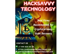 Wondering How To Recover Your Lost Crypto Hire Hack Savvy Tech Whatsapp 79998295038