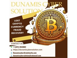 DUNAM CYBER SOLUTION BTC-ETH RECOVERY EXPERT