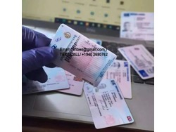 Passports, Drivers Licenses, ID Cards