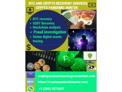 FUNDS AND DIGITAL ASSETS RECOVERY CRYPTO PANDEMIC HUNTER