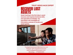 BEST DIGITAL ASSETS RECOVERY COMPANY 2025 (TRUST GEEKS HACK EXPERT)
