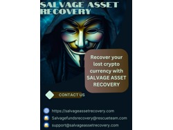 HOW TO RESTORE BACK LOST BITCOIN AND ETHEREUM-CONTACT SALVAGE ASSET RECOVERY