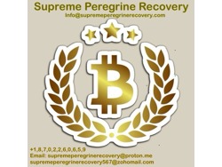 Who is the best Ethereum recovery expert Hire Supreme Peregrine Recovery