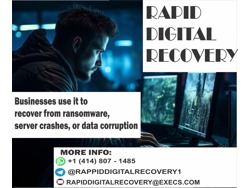 STEPS TO TAKE IF YOU HAVE BEEN SCAMMED CONSULT RAPID DIGITAL RECOVERY