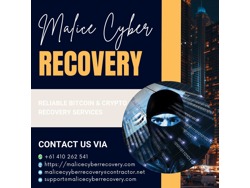 HOW TO RECOVER STOLEN CRYPTOCURRENCY MALICE CYBER RECOVERY WILL HELP