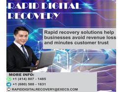 HIRE THE BEST PROFESSIONAL BTC ETH CRYPTO RECOVERY EXPERT HIRE RAPID DIGITAL RECOVERY