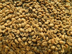 Green Coffee beans (Arabica Coffee) Grade AA, A, and AB 27719755564